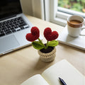KawaStitch Red Heart Crochet Pot for Home Decor